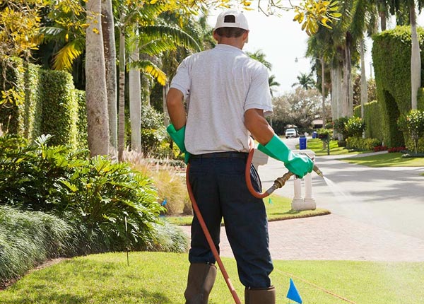 About Alpine WY Pest Control Pros